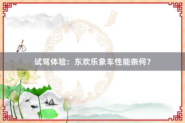 试驾体验：东欢乐象车性能奈何？